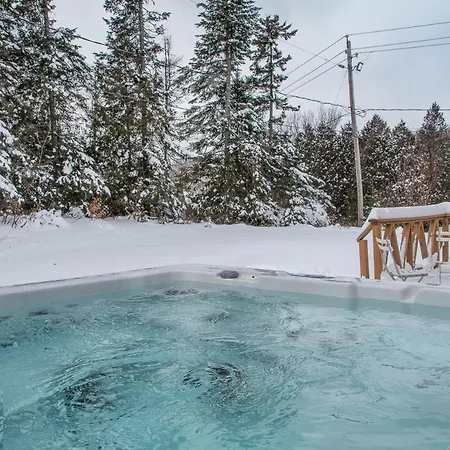 Chalet Du Lac Avec Spa Prive, Wifi, Bbq Et Sup Saint Adolphe D'Howard Exterior photo